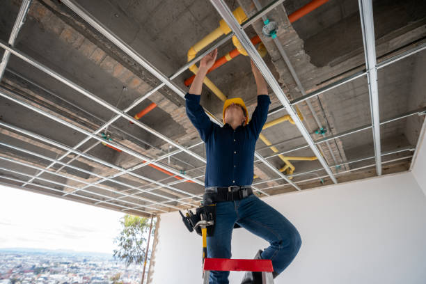 Best Same-Day Plumbing Service  in Holtville, AL