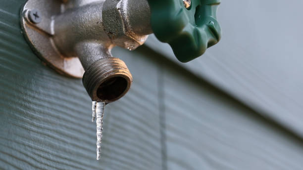 Best Plumbing Repair Near Me  in Holtville, AL