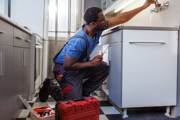 Best Same-Day Plumbing Service  in Holtville, AL